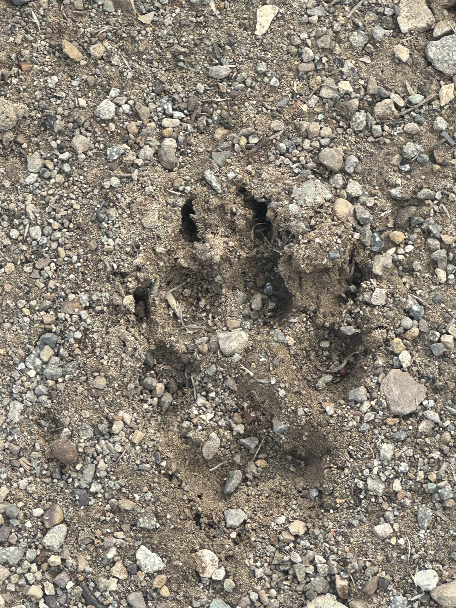 United States-National Parks-Other - Image 3291
